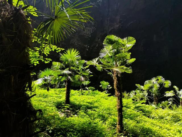 GO GO GO！跟随湖北知音名导游宣恩~