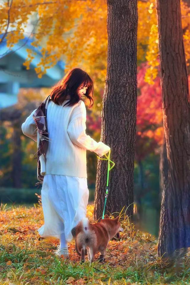 宿来拍丨五彩斑斓