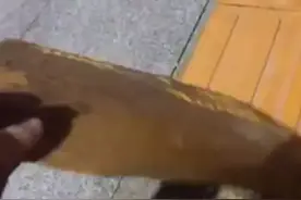 河南濮阳一马路盲道是贴纸做的一撕就掉？当地城市管理局回应图片