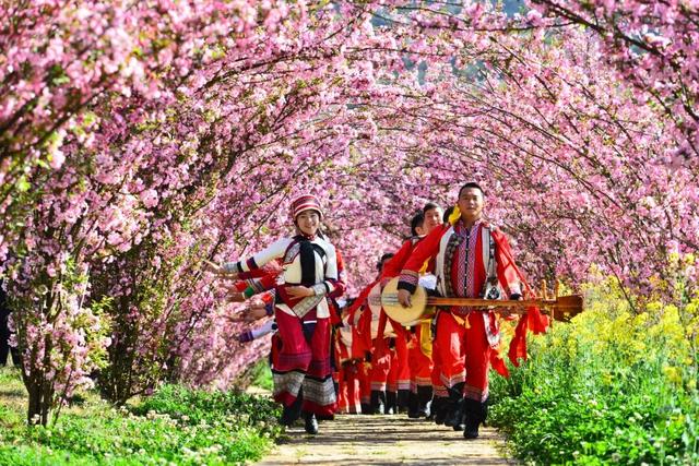 3月7日至8日，女性游客免门票游乃古石林风景区