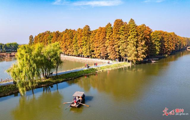 湿地公园 冬景如画