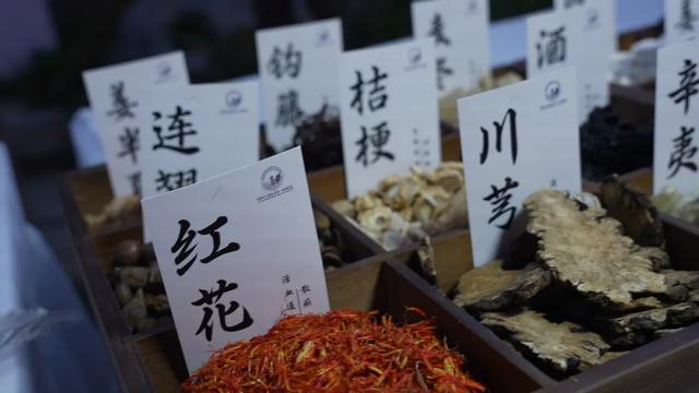 2025河南省中医药文化市集 中医药+文旅赋能出新彩