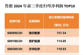 透视鲁股三季报：308家总盈利近1400亿，37家公司拟派发现金“大红包”图片