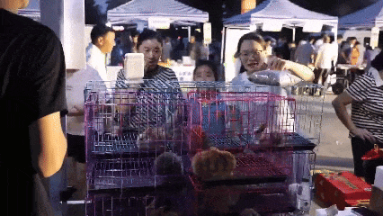 赶大集不用东奔西走~郯城大剧院市集今天下午等你