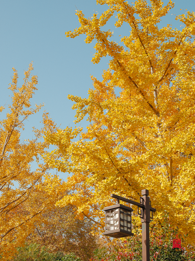 寒潮倒计时！再不来就迟了