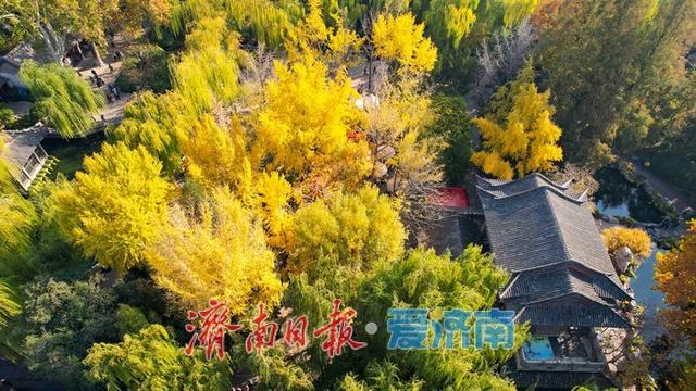 趵突泉秋景如画 泉涌叶舞醉游人