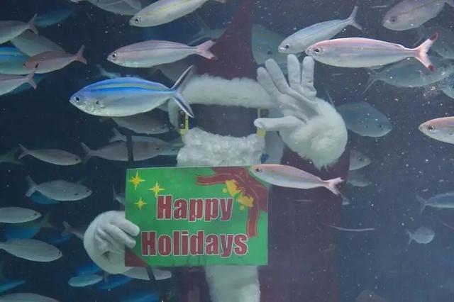 赴日游降温下的从业者，「每天都在处理退款」