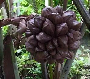 东寨港红树林研学进行时，自然课堂里的欢乐时光～