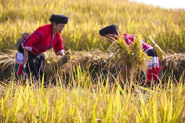 八桂秋韵！举起相机，把广西秋色拍成旅行基金！