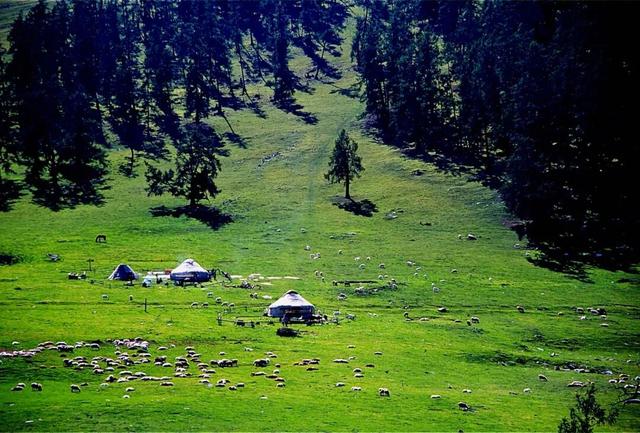 旋转！跳跃！新疆塔城地区在沪 “快闪” 推广，盛邀上海市民游客探索“油画塔城 草原圣地”