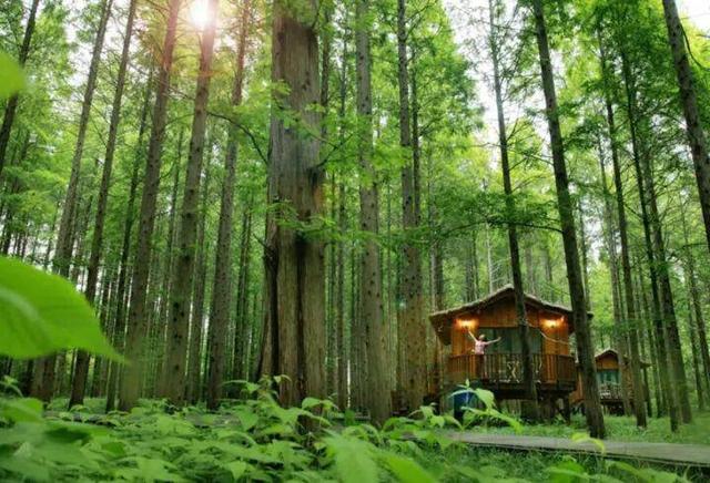 跟着短片游盐城！5条电影主题路线，银幕风景照进现实