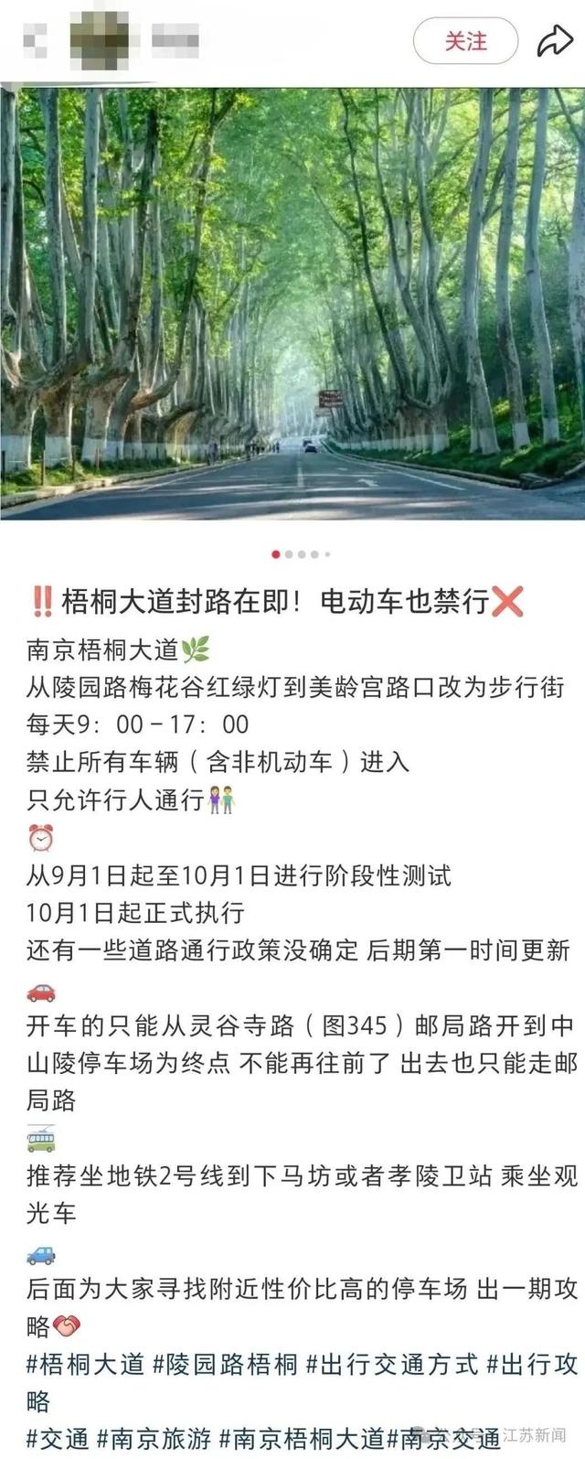 南京梧桐大道仅限行人通行？交警回应
