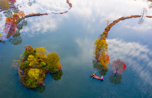 秋天来罗田，好“柿”正发生！