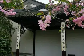 人间最美四月天图片