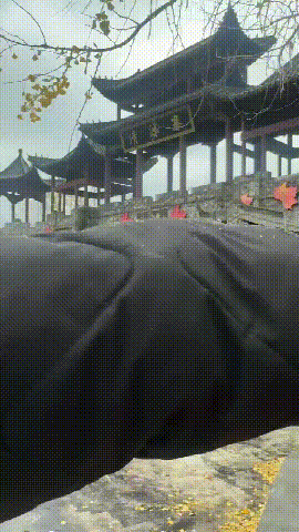 刚刚，黄陂下雪了！