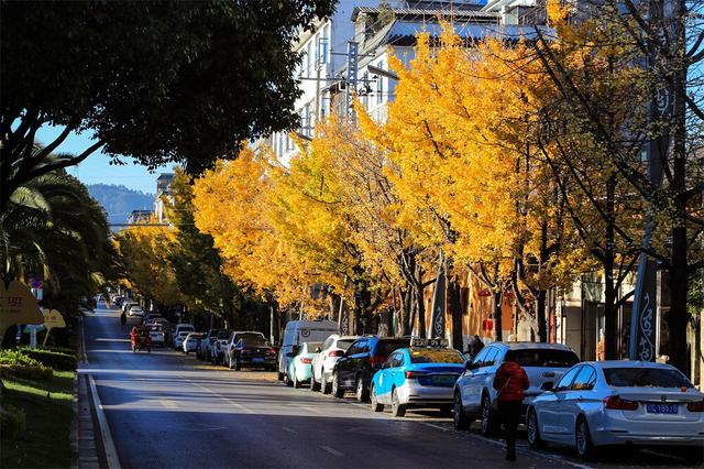 腾冲建设充满绿色、智慧与温情的现代化人民城市