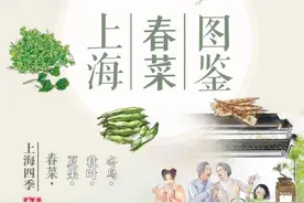 上海春菜图鉴图片