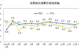 1月CPI同比涨幅扩大、PPI同比降幅与上月持平，专家：假期延长带动居民旅游、消费意愿增强图片