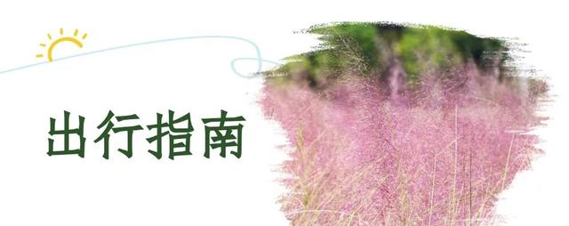 粉了！粉了！这一波华容“圈”粉了！