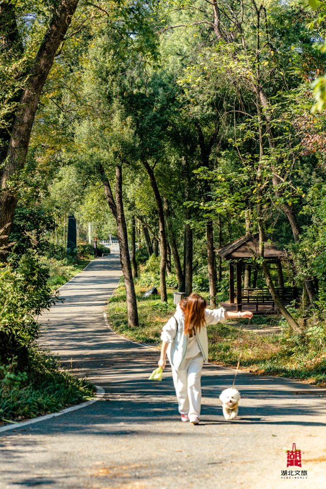抓住晴天尾巴，徒步青龙山！