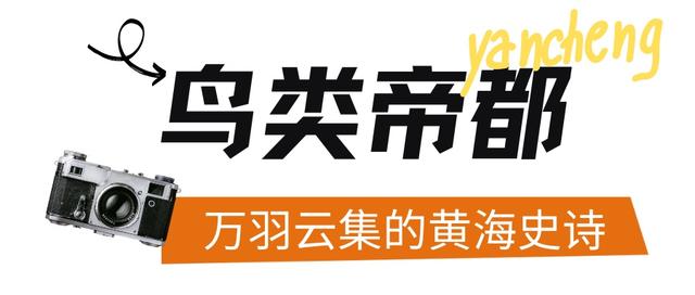 不愧是「东方肯尼亚」