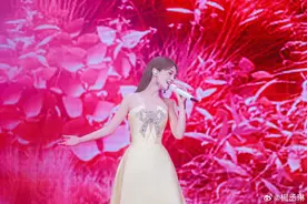 杨丞琳就郑州演唱会不当言论道歉 网友：公众人物应谨言慎行图片