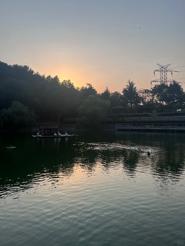 烟雨市北~不必赴江南，雨落此间即诗意