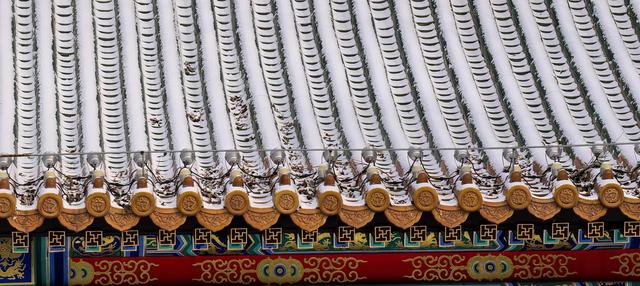 雪后的大运河森林公园，活力满满