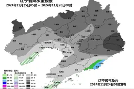 寒潮预警，局地降温超16℃！辽宁明天迎首场大范围雨雪，部分地区大雪和大暴雪！图片