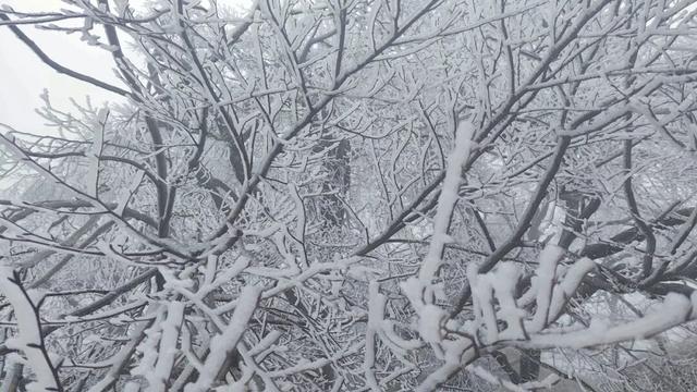 融水2026第一场雪来啦！你的朋友圈被刷屏了吗？