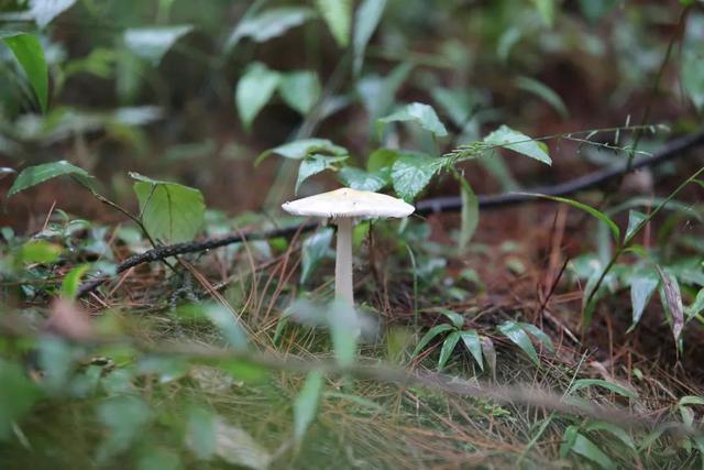 秋游贵州  开启一场康养之旅