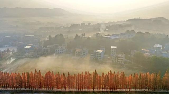今日图集丨雾锁长江村：常宁的另一面，从晨雾开始苏醒