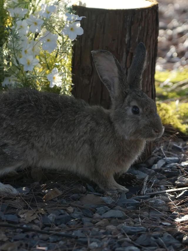 遛娃天花板！千岛湖也太会了！
