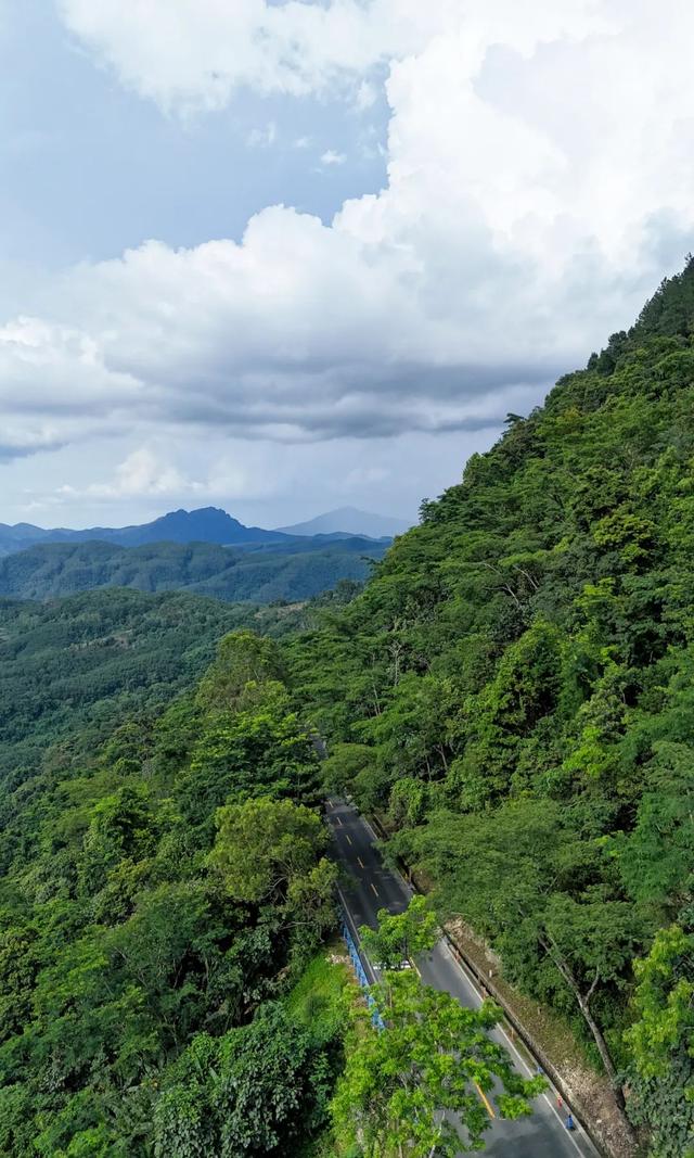 图观白沙 | 白沙山城的绿意秘境