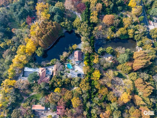海韵+汇筑+绮景！青岛初冬的浪漫被具象化了