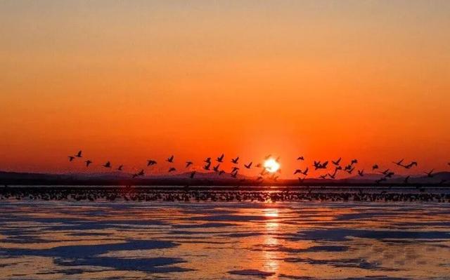 不来珲春，怎知秋色如许？（惊艳美图来袭）