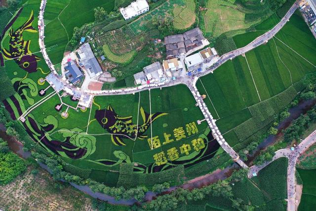 在“陌上姜州”看到“小时候的夏天” 四川会东这个“宝藏小镇”藏不住了！｜凉山好“游”闲