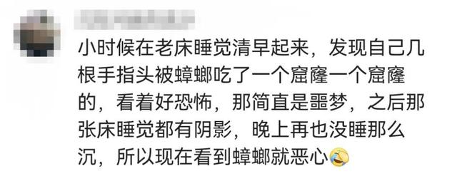 头皮发麻！蟑螂会咬人？专家说……