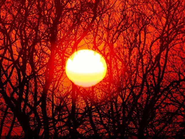 夕阳如画点缀京城！点击收藏腊八节里的冬日美景