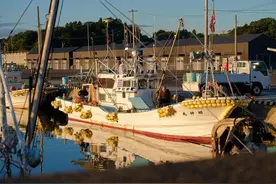 台当局称“没看到日本排污任何风险”，被呛：喝一口！图片