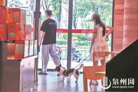 养己式养宠 年轻人情绪价值新代餐 小心“宠物依赖症”图片