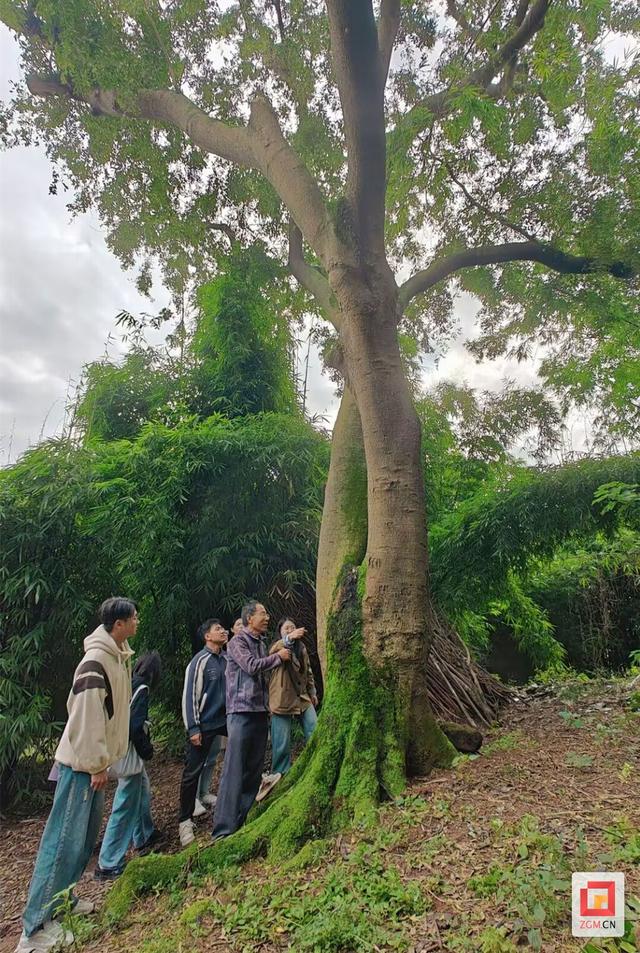 文化铸魂润村
