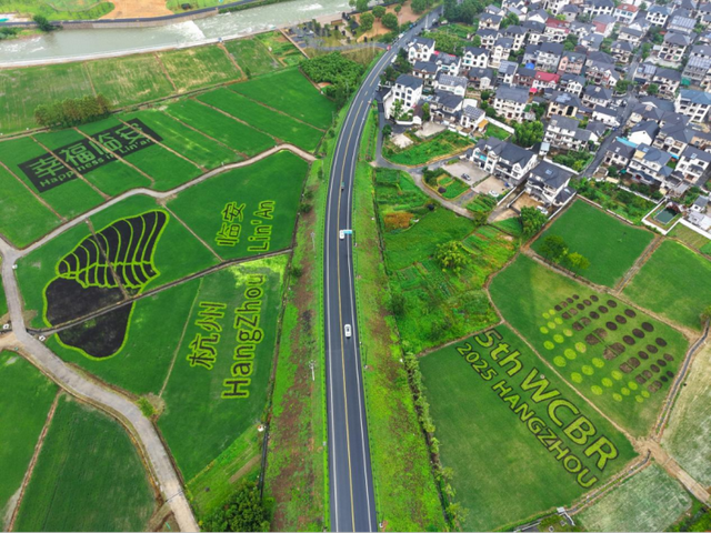 驾游浙江 | 自驾新宠！探秘天目山，这条环山公路美成仙境