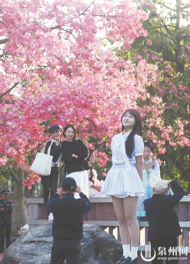 邂逅冬日粉色浪漫