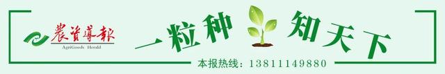 院士增选有效候选人名单来了！多位种业人入选