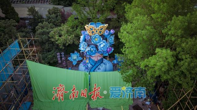 一年四季 泉在济南丨大明湖“夏雨荷”即将搬家，新“夏雨荷”展露芳容