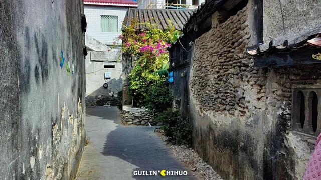 走进西岛：蒙曼直播探秘珊瑚老屋，重温女民兵峥嵘岁月