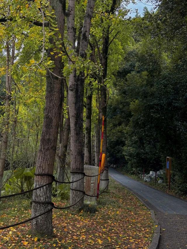 七星景区迎金秋