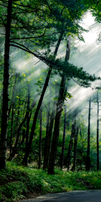 天呐，洛阳的这份「反差感」，绝了！