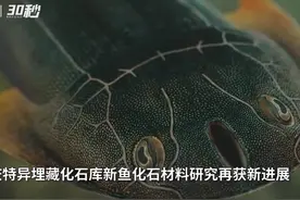 30秒｜已灭绝4.36亿年 “双叉苗家鱼”在重庆被发现